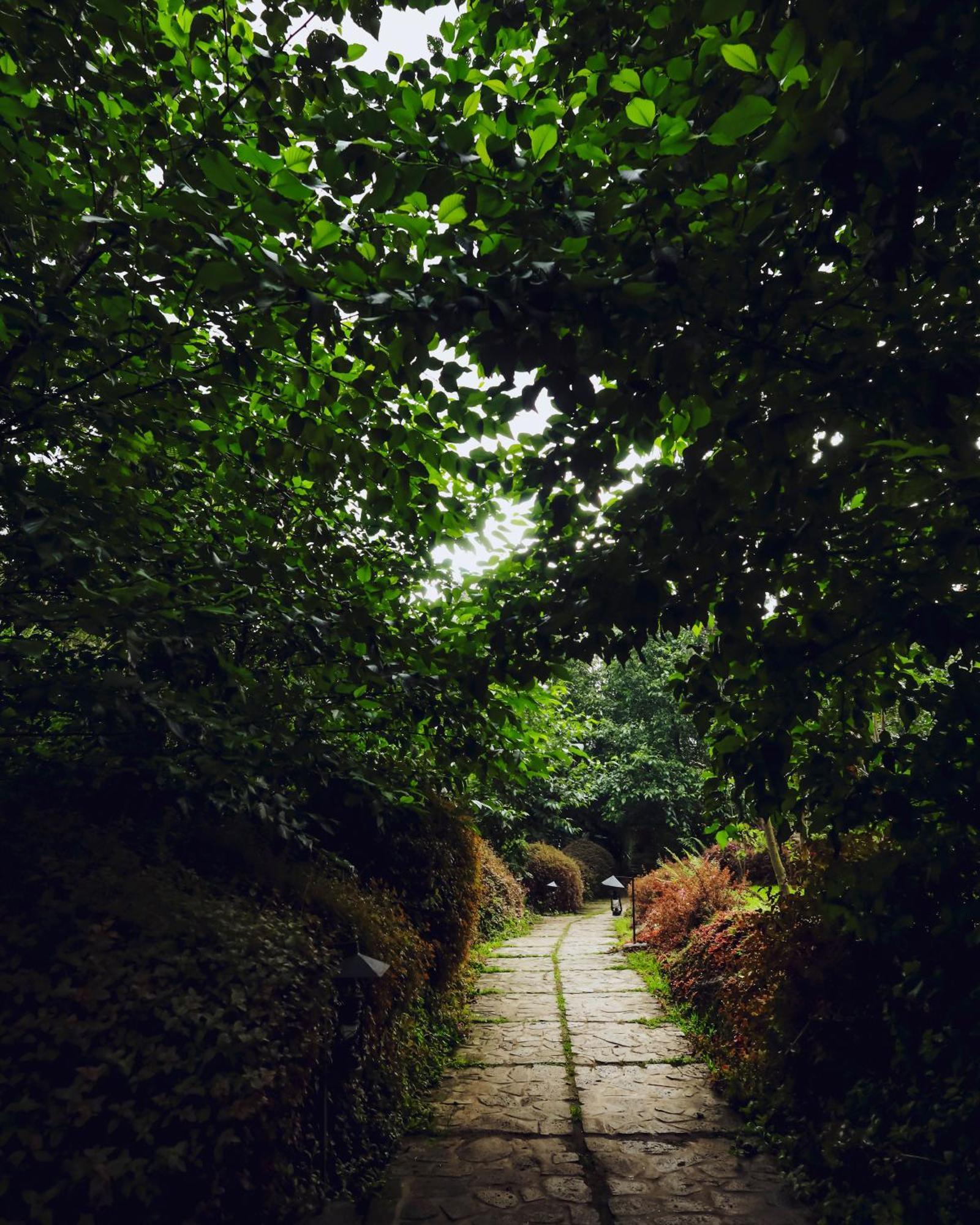Villa Sambora Kinigi Esterno foto